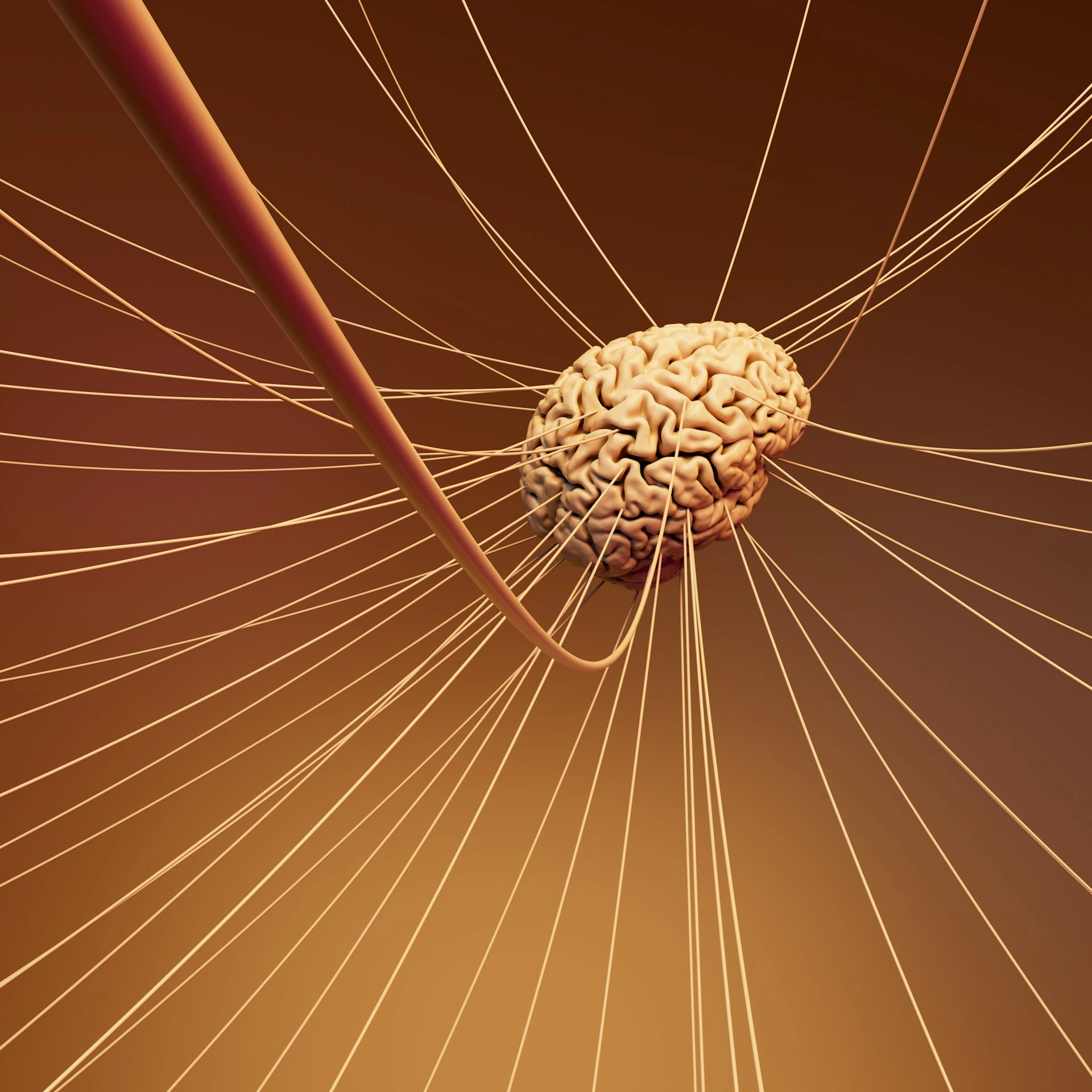 A computer generated image of a human brain