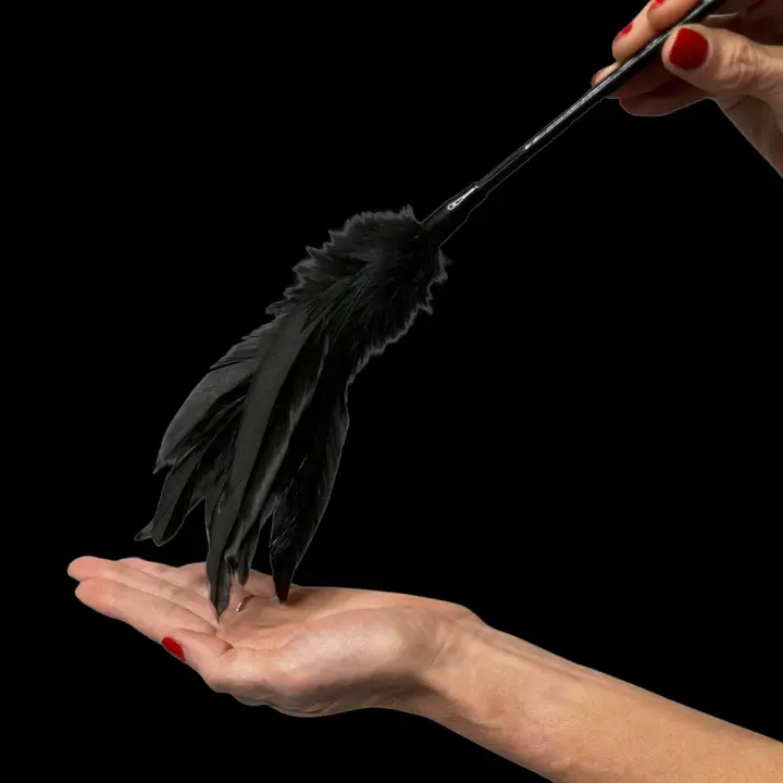 Người dùng lông vũ di chuyển trong lòng bàn tay