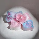abe17a_1d56f7961b14475ab2d51805bf3a6dc0~mv2.webp