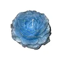 abe17a_10d0e2e85dec4d488a3f8e88002c1ed4~mv2.webp