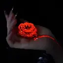 nen-thom-khong-bong-bdsm