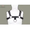 harness-da-mistress-elena