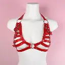 harness-da-manh-me-dominatrix