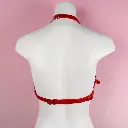 harness-deo-nguc