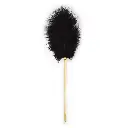 Feather