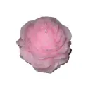 BDSM Candle L2