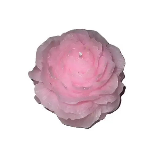 BDSM Candle L2